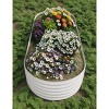 8x2x1.5ft & 8x4x1.5ft Galvanized Steel Raised Garden Bed, Heavy-Duty Oval Planter Box, Corrosion-Resistant Outdoor Gardening Kit - 3 of 4