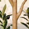 Artificial Olive Tree with Wood Trunk, 5/6/7ft Pencil Faux Olive Trees - UV Resistant Floor Plants for Home Decor - Living Room, Entryway, Foyer - 4 of 4