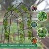 Garden Arch Trellis, Polyethylene-Coated Steel Arbor for Climbing Plants, Vegetables, Flowers, Outdoor Pergola or Event Decoration - 4 of 4