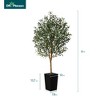 DR.Planzen 72" Artificial Olive Tree with Real Wood Branches - 6FT UV Resistant Indoor/Outdoor Fake Plant in 15.7" Planter (B/W/Coffee) - 3 of 4