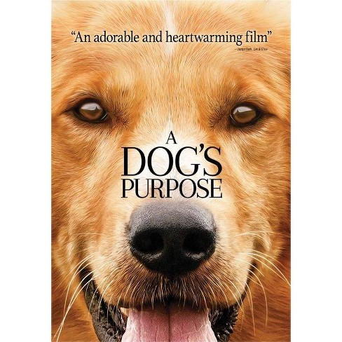 A Dog S Purpose Dvd Target