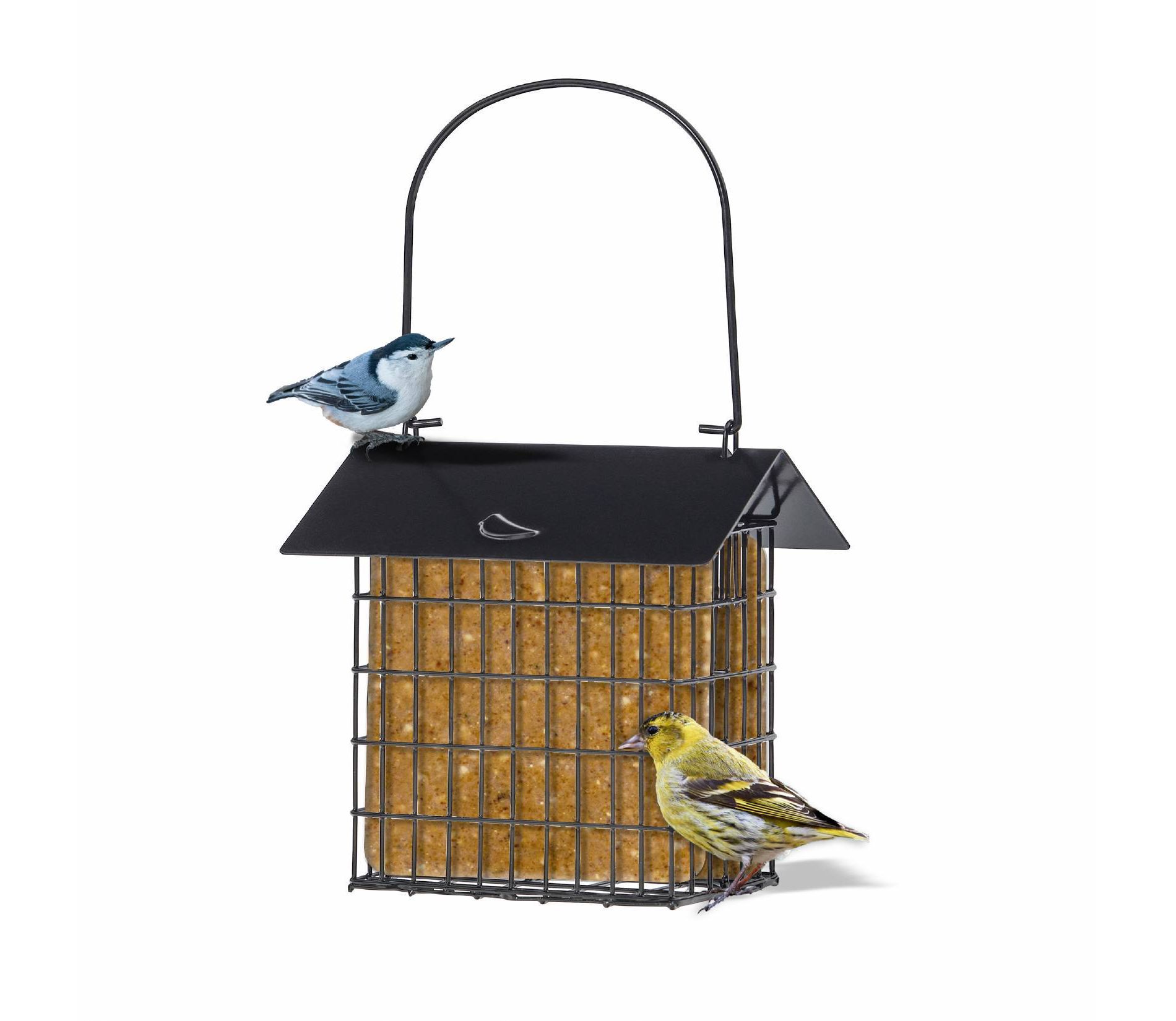 Birds Choice Modern Farmhouse Metal Double Suet Feeder