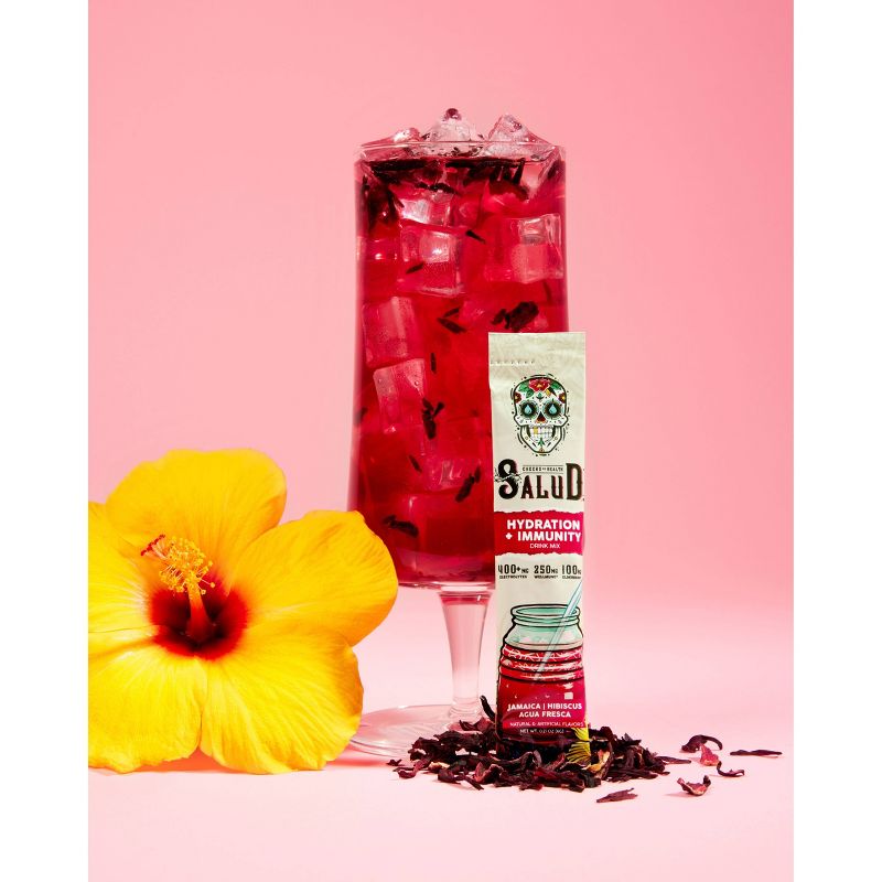 Salud Hydration + Immunity Jamaica Hibiscus Drink Mix - 6pk/0.21 oz Sticks, 3 of 9