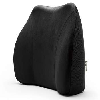 Cubii Cushii - Lumbar Support With Memory Foam Cushion For Back and Lower  Back Pain Relief - It Fits Where You Sit, Desk, Office, Kitchen Chairs