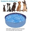 Racxily Foldable Dog Kiddie Pool, Portable Hard Plastic Kids Baby Doggie Swimming Pool, Anti-Slip Thick PVC Collapsible for Dogs Cats and Kids Pet - 3 of 4