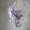 Alilang Decorative Dried Fine Leaf Stems for Home Decoration and Floral Arrangements, 17.7 Inches - 2 of 3