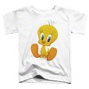 Toddler Boys' Looney Tunes Cute Tweety T-Shirt For Toddler Boys And Girls - 2 of 4