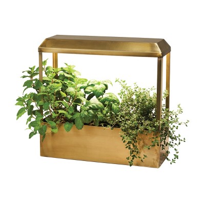 Modern Sprout Brass Growhouse V2 - Smart Indoor Planter with Grow Light