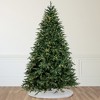Northlight Real Touch™ Pre-Lit Ashburn Pine Artificial Christmas Tree - 12' Warm White LED - 2 of 4