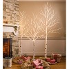 Medium Indoor/Outdoor Birch Tree with 400 Warm White Lights - 5'H White - 3 of 4