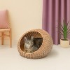 THE LICKER STORE Fiora 19.5" x 18" Modern Circular Faux Wicker Pet Bed with Machine-Washable Cushion - 2 of 4