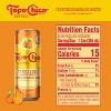 Topo Chico Sabores Tangerine Ginger Sparkling Water - 8pk/12 fl oz Cans - 4 of 4