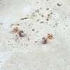 Adornia 14k Rose Gold Plated Freshwater Pearl CZ Halo Stud Earrings - 3 of 4