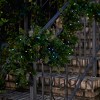 Christmas Vivvi App Based Indoor/Outdoor String Lights, 196.8 Ft 600 LEDs - 4 of 4