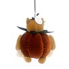 Boyds Bears 5.5 Inch Jack-O-Raccoon Pumpkin Ornament Tree Ornaments - 2 of 3