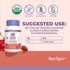 MaryRuth's Organic Toddler Multivitamin Gummies - 3 of 4