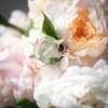 Sullivans Artificial 11.75" Cheerful Peony Bush Set of 3 - 2 of 2
