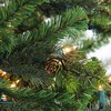 Northlight 6.5' Prelit Artificial Christmas Tree Full Hunter Fir - Clear Lights - 3 of 4