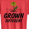 Women's - Instant Message - Grown Different Dandelion Short Sleeve Graphic T-Shirt - 2 of 4