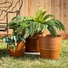 Sullivans 16.25", 13.25", 10.25" & 8.25" Nested Copper Planter Set of 4, Metal - 3 of 3