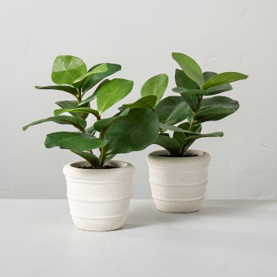 Image of 2ct Faux Mini Clusia Rosea Potted Plant Set - Hearth & Hand™ with Magnolia