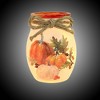 Stony Creek 4.0 Inch Pumpkins Pre-Lit Small Jar Fall Thanksgiving Novelty Sculpture Lights - 2 of 3
