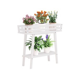 Artloge 30 Inch Tall White Wooden Plant Stand  2 Tier Bonsai Display Rack Planter Flower Holder with Storage Shelf for Living Room & Balcony Decor - 1 of 4