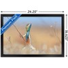 Trends International The Comedy Wildlife Photography Awards: Anup Deodhar - Rockstar Framed Wall Poster Prints - 3 of 4