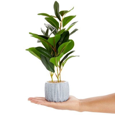 Small Green Plastic Succulent in Gray Cement Planter