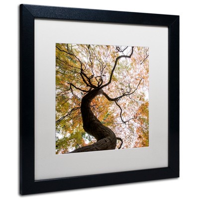 Trademark Fine Art -Kurt Shaffer 'Under a Japanese Maple 2' Matted Framed Art
