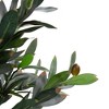 Northlight 40" Green and Brown Artificial Olive Tree with Foliage In a Black Pot - 3 of 4