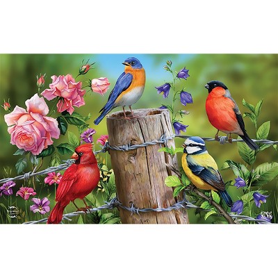 Briarwood Lane Spring Doormat 30x18 Indoor Outdoor Fence Post Birds For Spring Doormat