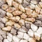 light brown, dark brown, light blue
