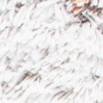 ivory/rust