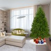 Northlight Northern Pine Full Artificial Commercial Christmas Tree - 14' - Unlit - 4 of 4