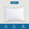 BRINJOY Queen Size Pillow - Hotel Collection Single Bed Pillow with Down Alternative Fill for Side, Back & Stomach Sleepers (White, 20x30 Inches) - 2 of 4