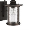 Chloe Lighting Cole Transitional 1 Light Rubbed Bronze Outdoor Wall Sconce 16" Height - 3 of 4