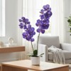 31" Artificial Orchid Plant with Green Leaves, Faux Phalaenopsis in White Planter for Indoor Home & Office Decor - 3 of 4