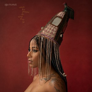 Aja Monet - When The Poems Do What They Do (Vinyl) - 1 of 1