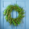 Northlight Mixed Boxwood Fern Artificial Wreath - 24" - 2 of 4