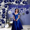 KatchOn, Blue and Silver Birthday Decorations Set - Big, Pack of 47 |Pom Poms |Blue and White Birthday Decorations - 2 of 4