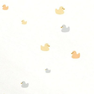 ducks