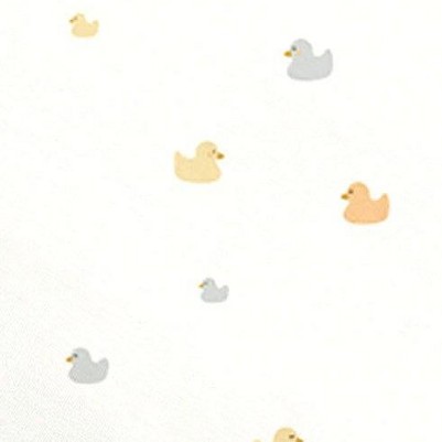 ducks