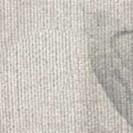 gray and silver flowers i