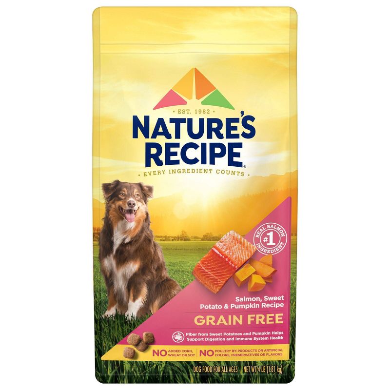 Nature's Recipe Grain Free Salmon, Sweet Potato & Pumpkin Recipe Dry Dog Food, 1 of 9