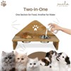 Mela Artisans Kaikadi Elevated Pet Feeder - Large - 4 of 4