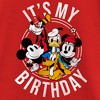 Girl's Mickey & Friends It's My Birthday Group Shot T-Shirt - image 2 of 4