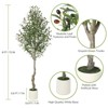 Faux Olive Tree with White Tall Planter, Olive Trees Artificial Indoor, Artificial Plants with Natural Wood Trunk and Lifelike Fruits for Home Decor - 4 of 4