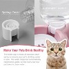 Dog Bowls, Cat Food and Water Bowl Set with Water Dispenser and Stainless Steel Bowl for Cats and Small Dogs - 4 of 4