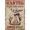 Trends International Star Wars: The Mandalorian - Wanted Unframed Wall Poster Prints - 4 of 4